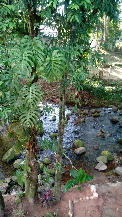 Pousada Beira Rio Aldeia Velha Exterior foto